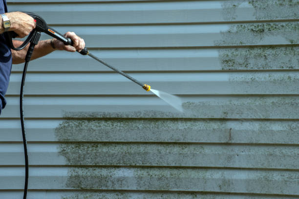 Professional Pressure Washing in Dadeville, AL